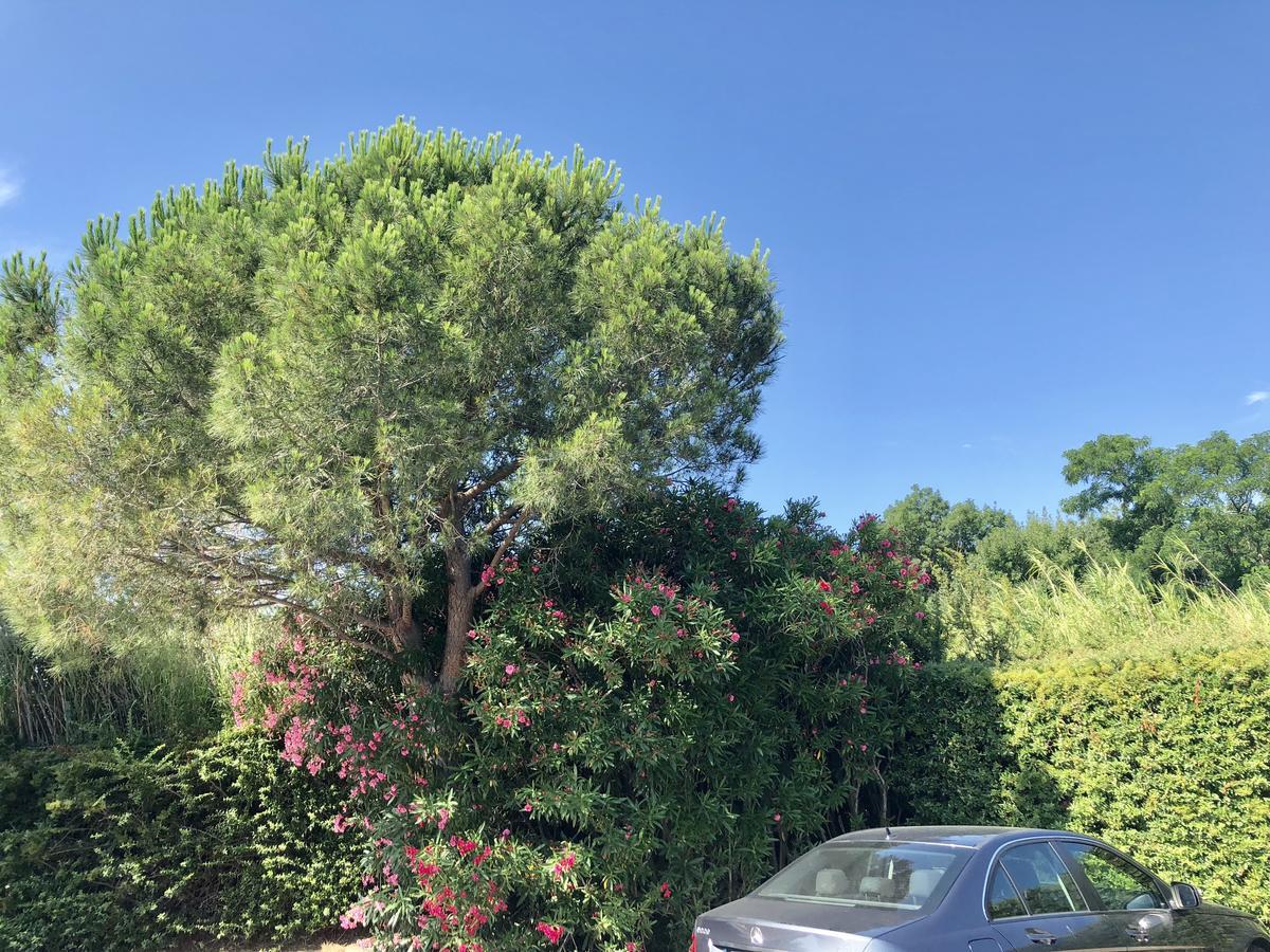 Premiere Classe Perpignan Sud المظهر الخارجي الصورة