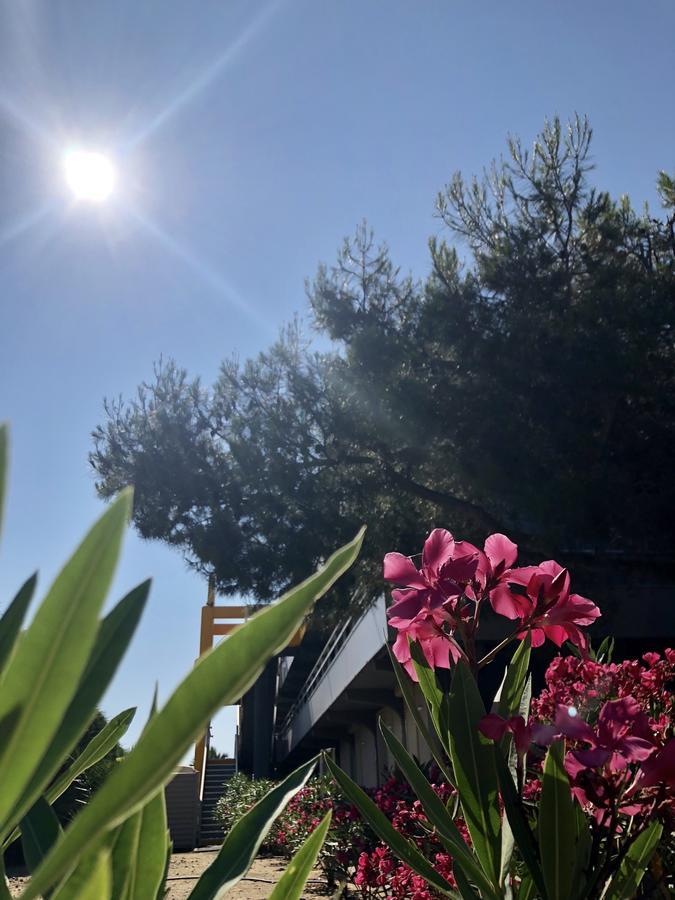 Premiere Classe Perpignan Sud المظهر الخارجي الصورة